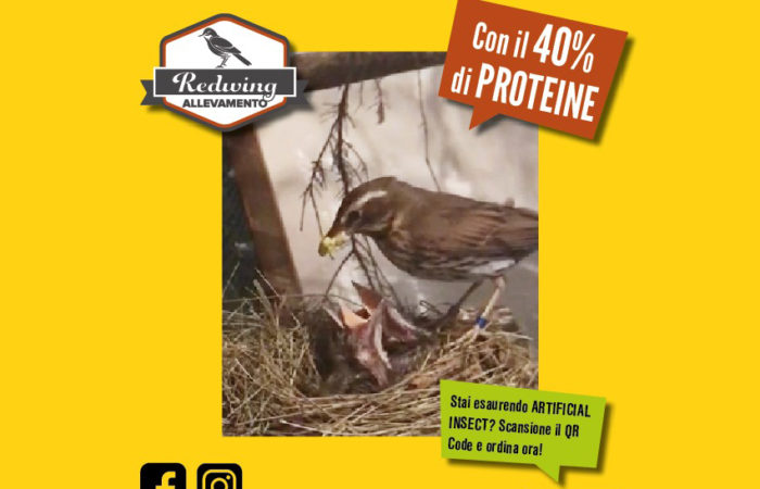 Comment l’insecte artificiel est-il préparé ?